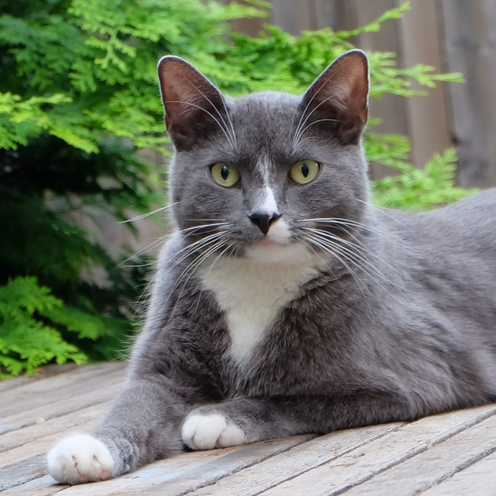 Meet your Posher, Edmond